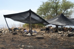 Area C during the 2010 season (photographed by L. Petit; © Kinneret Regional Project).